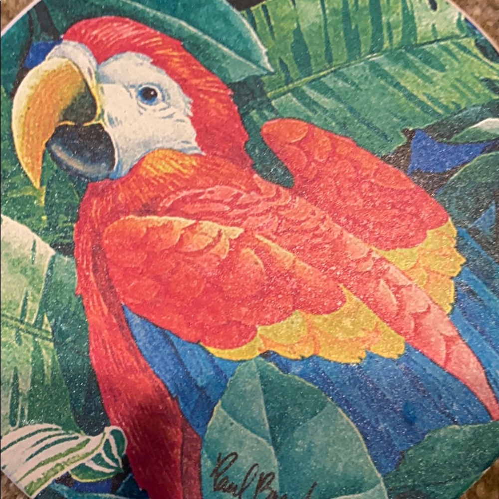 ~COASTERSTONE~ “Exotic Birds” Coasters